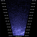 Salmon at 60 meters-2