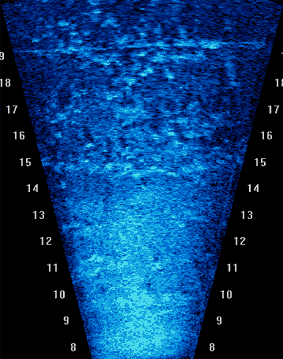 Saratoga and Bluefin AUV
