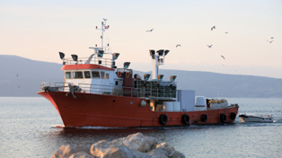 FISHERIES