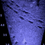 Footprints on river bottom
